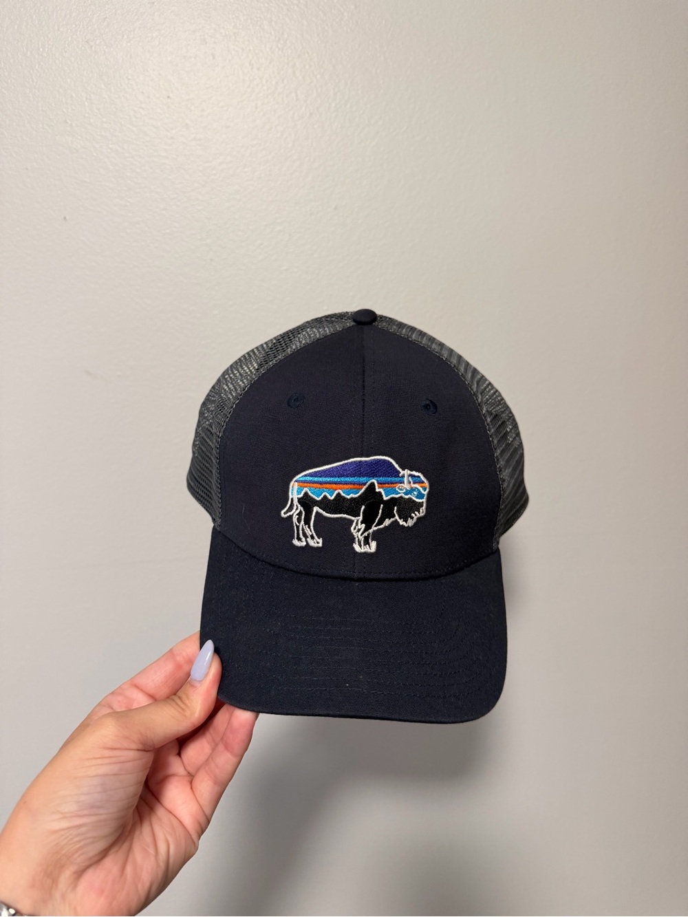 Patagonia Fitz Roy Bison Trucker Hat in Navy Blue